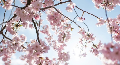 С Днем Весны!